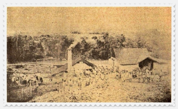Hacienda Marín del Sr. Carlos Hernáiz, Cúa, Cojo Ilustrado Nº 069 1 de Nov de 1894